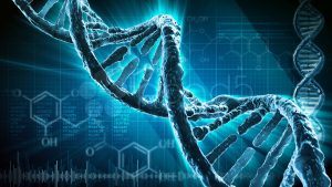 Мутации в ДНК