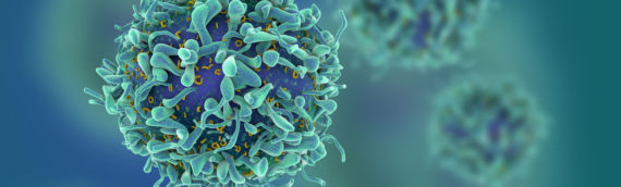 Раковые клетки запрограммировали на борьбу с опухолями