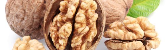 Грецкие орехи снижают риск возникновения рака простаты