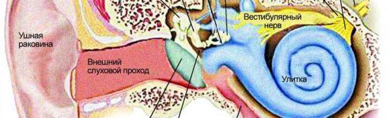 Рак глазного, спинного, обонятельного и слухового нерва