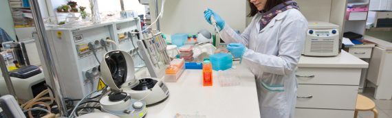 Российские ученые создают препарат для лечения онкологии на основе дендритных клеток